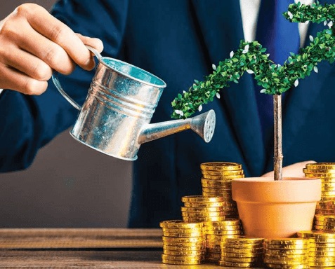 A person watering a plant shaped like a dollar sign, with stacks of coins around the pot.